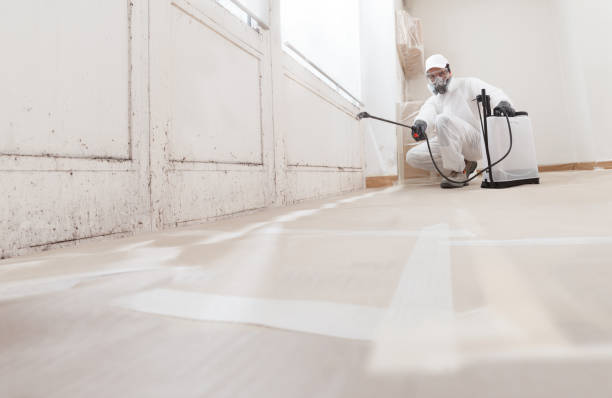24/7 Emergency Black Mold Remediation experts in Spring Lake, NJ